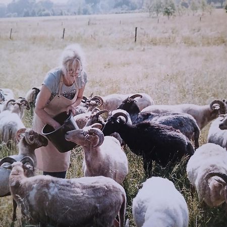 Pipowagen Elsebein Groningen Westerwolde Unieke Ligging Met Eigen Tuin En Vrij Uitzicht Over Veld Naar Natuurgebied Onstwedde Exterior foto