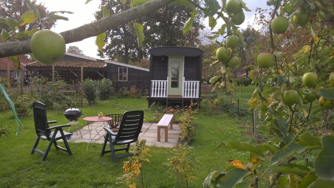 Pipowagen Elsebein Groningen Westerwolde Unieke Ligging Met Eigen Tuin En Vrij Uitzicht Over Veld Naar Natuurgebied Onstwedde Exterior foto