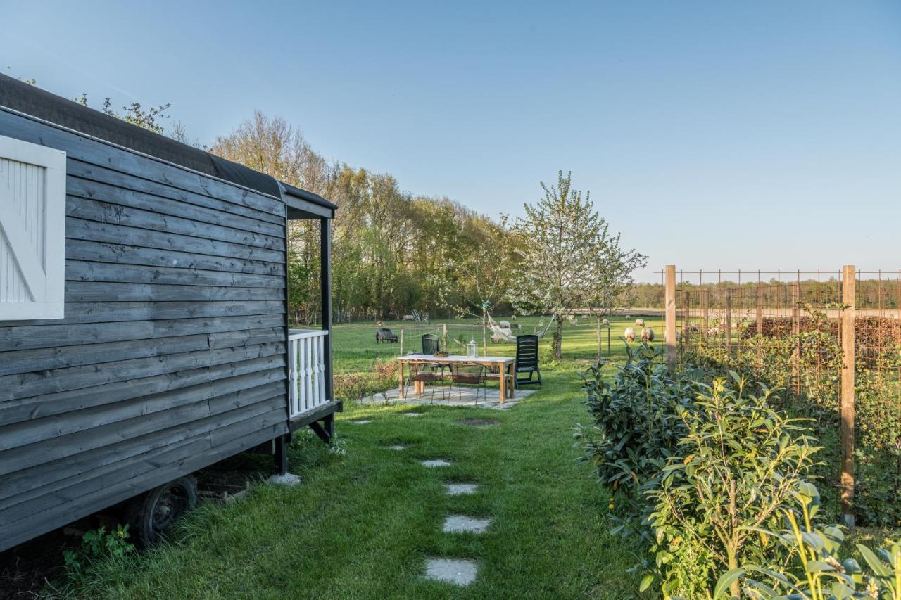 Pipowagen Elsebein Groningen Westerwolde Unieke Ligging Met Eigen Tuin En Vrij Uitzicht Over Veld Naar Natuurgebied Onstwedde Exterior foto